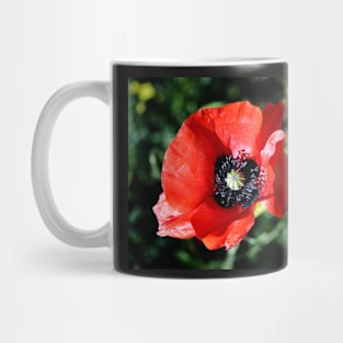 Red Poppy Flower Mug